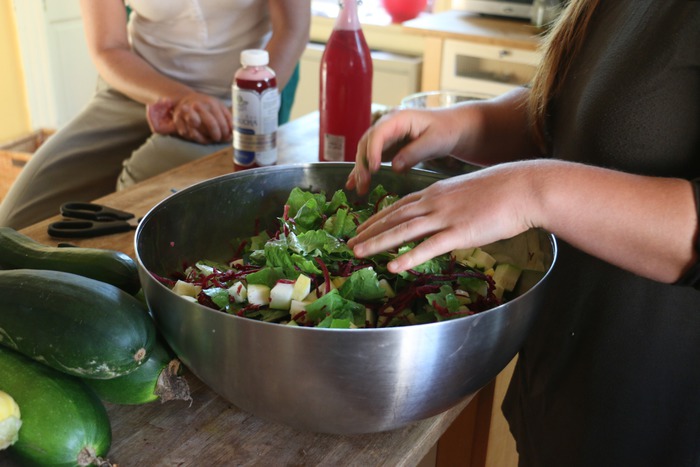 Mustard Seed Farm photo 6