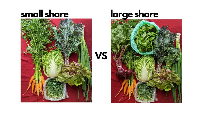 Mustard Seed Farm photo 5